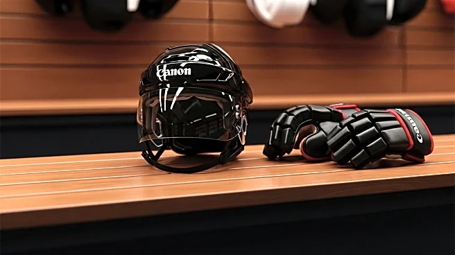 Utah Mammoth Aims for Stanley Cup Playoffs with Strategic Player Additions