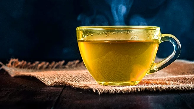 Understanding Hot Flashes: Insights from Menopause Experts
