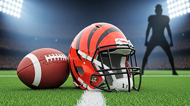Cincinnati Bengals Attempt to Claim Jordan Jefferson, Outbid by 49ers