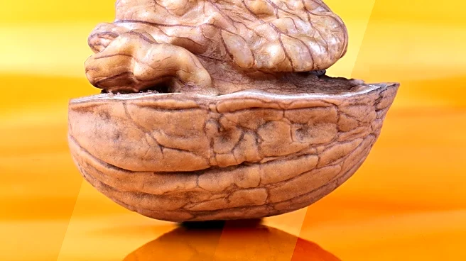 Study Finds Omega-3 May Protect Women from Alzheimer's Disease