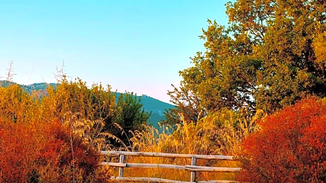 Indian Summer: A Time for Recalibration and Transition