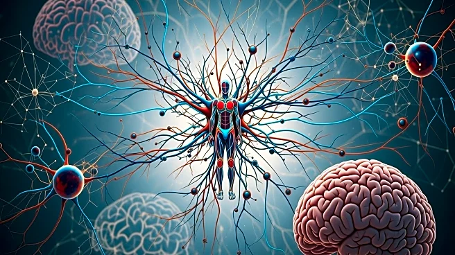 Study Reveals Stability in Brain's Body Map Post-Amputation, Challenging Long-Held Beliefs