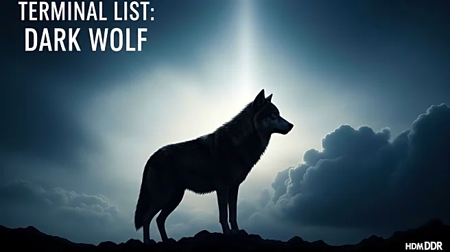Taylor Kitsch Explores Anger and Redemption in 'Terminal List: Dark Wolf'
