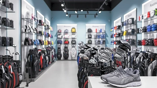 Dick's Sporting Goods Q2 Earnings Highlight Profit Opportunity Amid Easing Demand