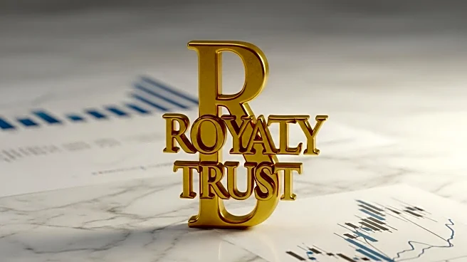 Sabine Royalty Trust Faces High-Yield Appeal Amid Cyclical Risks