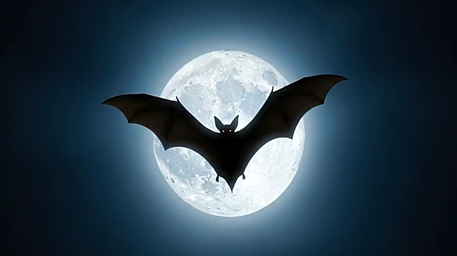 Twilight Films to Be Rereleased in Theaters for Halloween Celebration