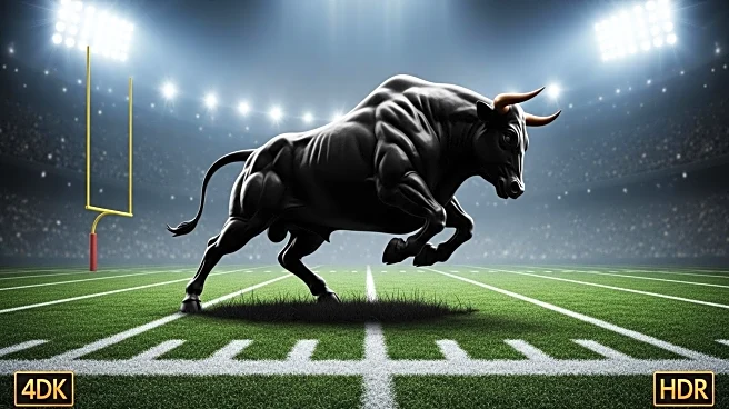 South Florida Bulls Defeat Boise State in Season Opener