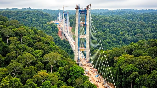Logging Bridge Construction in Amazon Raises Concerns for Isolated Tribe