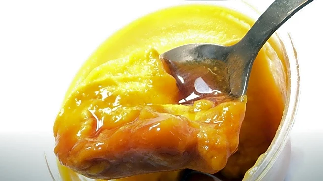 Pittsburgh's Soulful Taste of the Burgh Festival Returns with Local Culinary Delights