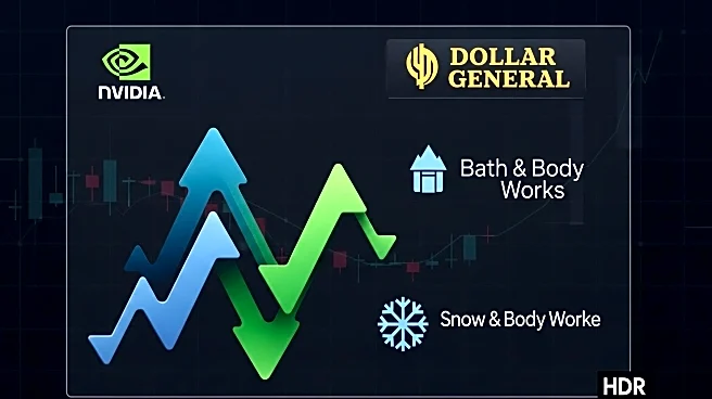 Premarket Stock Movements: Nvidia, Dollar General, Bath  Body Works, and Snowflake