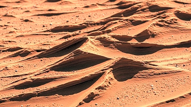 Perseverance Rover Investigates Wind-Carved Megaripples on Mars