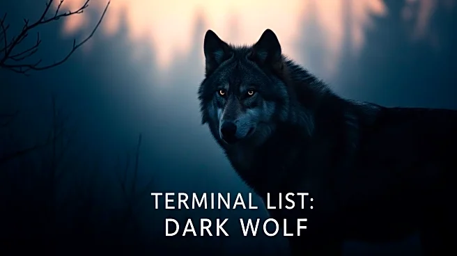 Taylor Kitsch Explores Anger and Redemption in 'Terminal List: Dark Wolf' Prequel
