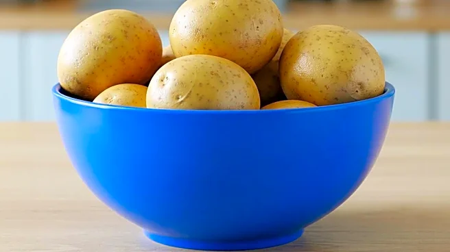 CNET Reveals 12-Minute Potato Hack Using Air Fryer and Microwave