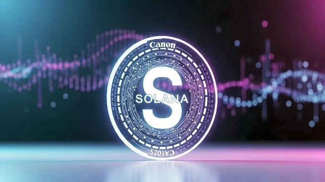 Solana Gains Momentum as Potential Market Leader Amid Crypto Volatility