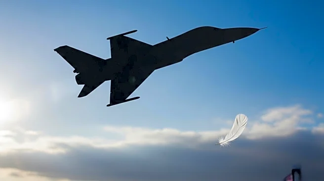 Polish F-16 Pilot Dies in Airshow Rehearsal Crash, Event Cancelled