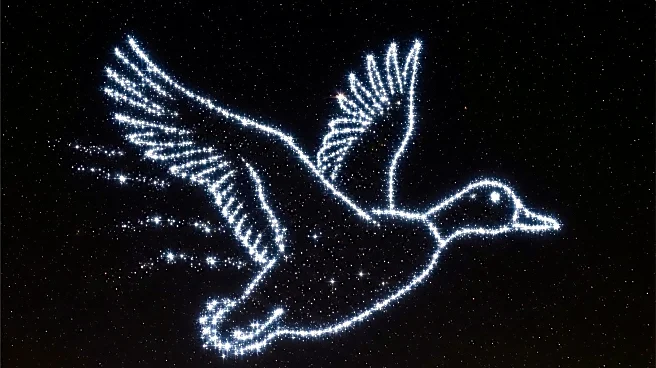 Astronomers Highlight Summer Viewing of Wild Duck Cluster