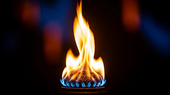 U.S. Natural Gas Market Faces Volatility Amid Record Consumption and Storage Surplus