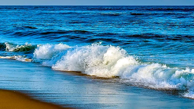 AAUW Del Mar-Leucadia Branch Invites Public to September Kickoff Event