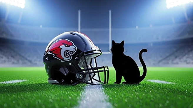 Bowling Green Football Team Embraces Pudge The Cat as Social Media Sensation