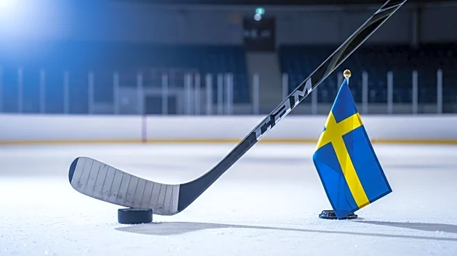 Swedish Coach Highlights Elias Pettersson's Unique Skills for Vancouver Fans