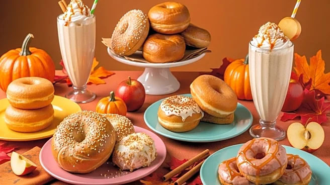 Einstein Bros. Bagels, Dairy Queen, and Sonic Drive-In Introduce New Fall Menu Items