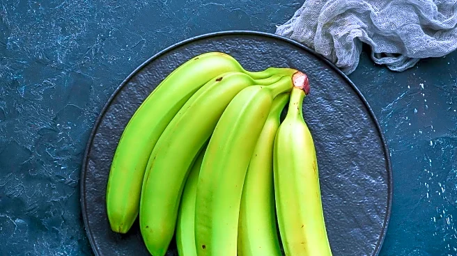 Study Reveals Microplastics from Polypropylene Cutting Boards Pose Health Risks
