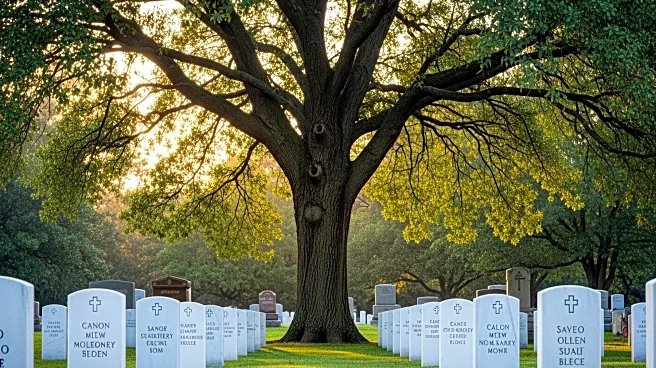 Historic Cemetery in Compton Faces Headstone Theft, Impacting Veterans' Memorials