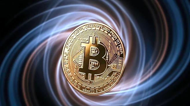 Bitcoin's Volatility: Enduring Market Dumps for Potential Gains