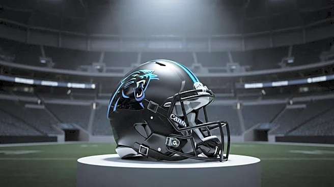 Panthers' Jalen Coker Begins Season on Injured Reserve