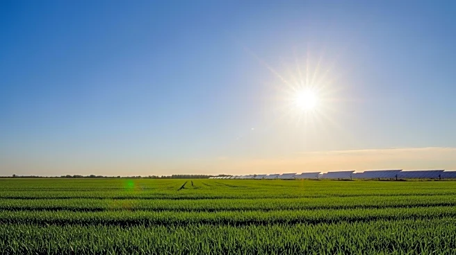 USDA Halts Solar Farm Funding Amid Farmland Loss Concerns