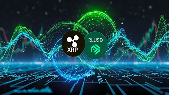 Ripple CTO Explains XRP and RLUSD Liquidity Pools Amid Market Dynamics