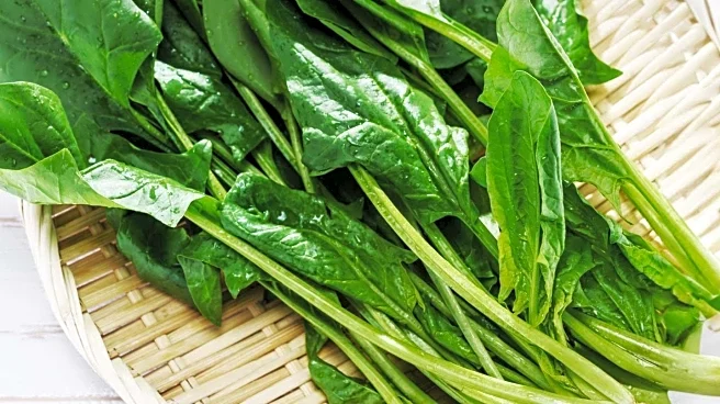 Study Finds Vitamin A Intake Linked to Cancer Risk in Vietnamese Population