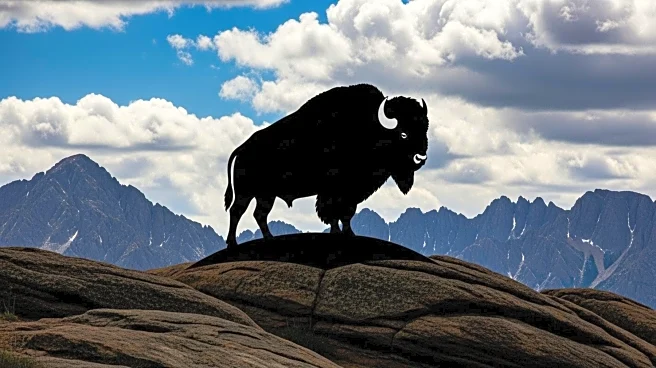 Colorado Buffaloes Begin Season with Loss to Georgia Tech in Post-Travis Hunter Era