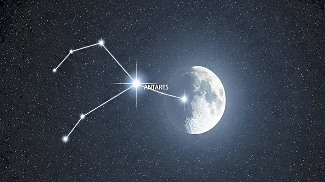 First Quarter Moon Appears Near Antares in Scorpius Constellation