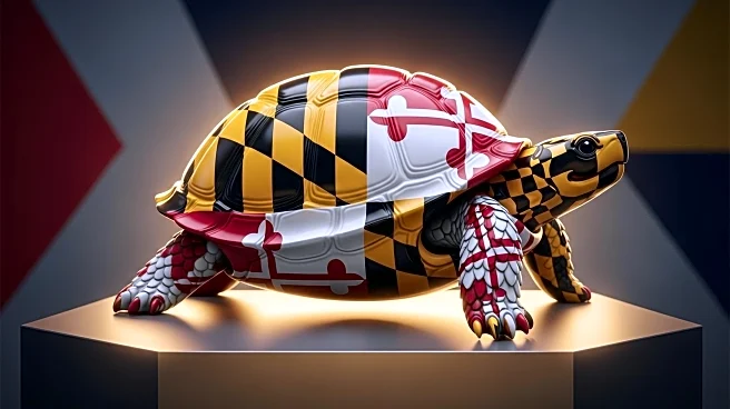 Maryland Terrapins Secure Victory Against Florida Atlantic with Strong Performance