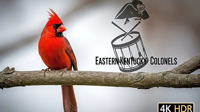 Louisville Cardinals Predicted to Dominate Eastern Kentucky Colonels