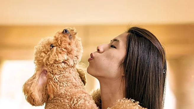Rescue Puppy Cactus Cuddles Owner in Heartwarming Video