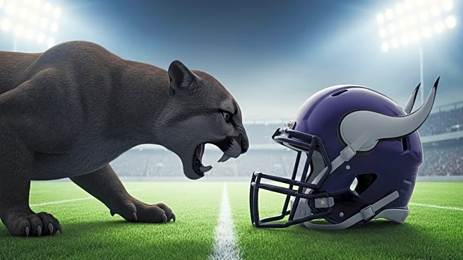 BYU Cougars Dominate Portland State Vikings with Historic Shutout Victory