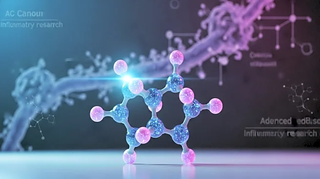 Nurix Therapeutics Announces Participation in Multiple Investor Conferences to Highlight Cancer and Inflammatory Disease Treatments
