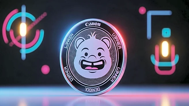 Pepeto Emerges as Leading Meme Coin in 2025 Presale Market
