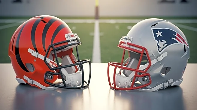 Cincinnati Bengals Lose Rookie Eric Gregory to Patriots on Waiver Wire