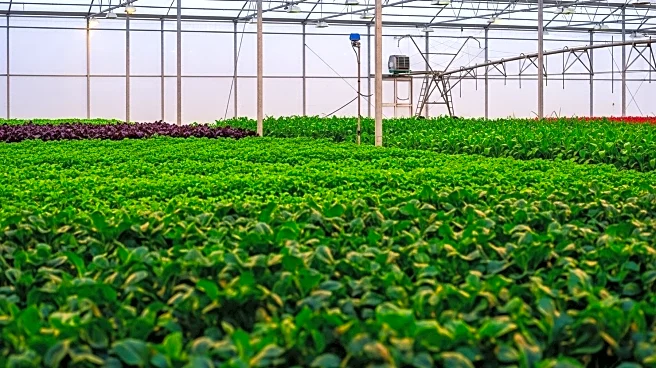 Himachal Pradesh Government Promotes Scientific Approach for Profitable Agriculture