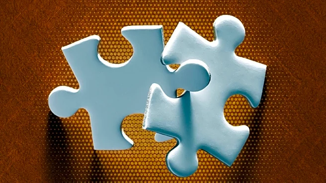 Evan Birnholz's Crossword Puzzle Challenges Solvers with Unique Theme
