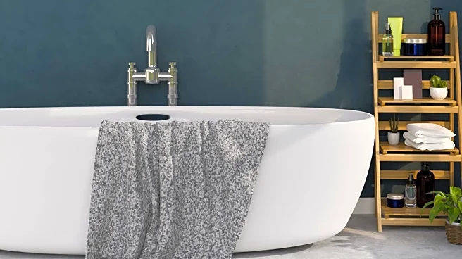 CNET Offers Comprehensive Guide to Bathroom Cleaning for Labor Day Weekend
