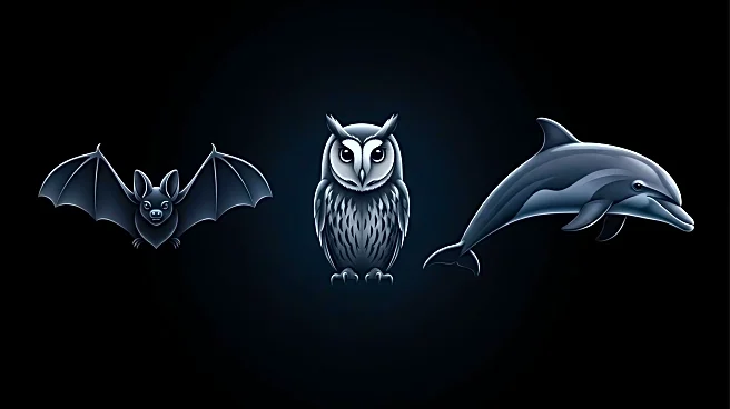 Animal Hearing Abilities Explored: Bats, Owls, and Dolphins Show Exceptional Auditory Skills
