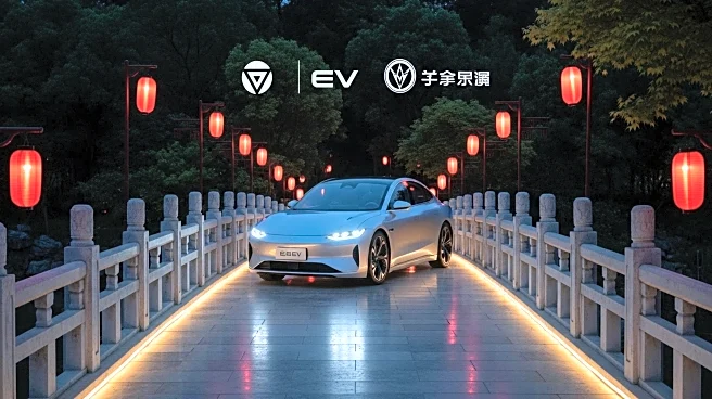 Tesla Faces Decline in Chinese Market Amidst Rising Competition from Local EV Brands