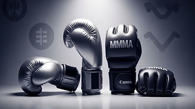 Eddie Hall Agrees to MMA Fight with Dillon Danis Following Boxing Victory