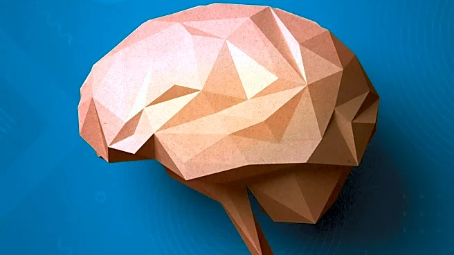 Study Links Brain Structure to Genetic Risk of Major Depression