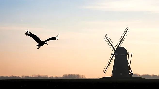 Tamara Kotevska's Documentary Explores Farmer's Struggle and Stork Rescue in 'The Tale of Silyan'