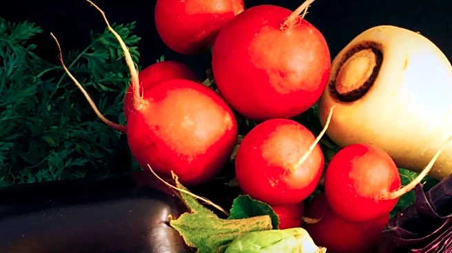 Dietitians Recommend Vegetables to Reduce Visceral Fat